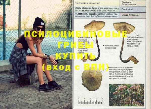 ешки Армянск