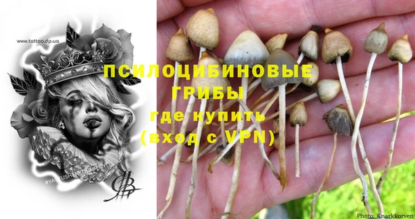 ешки Армянск